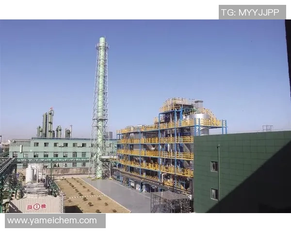 上海足球队转型历程全景回顾与发展探索之路