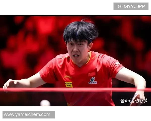 杭州乒乓球队个人能力排名创新高引发关注与期待